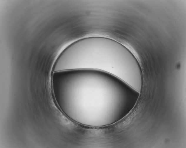 X0000091300996200708101044