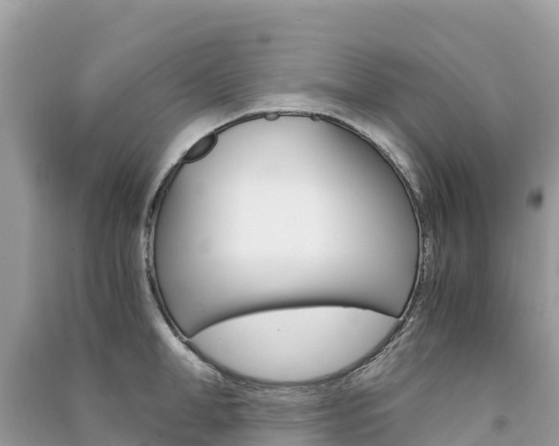 X0000091300998200708101044