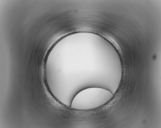 X0000091301000200708101044