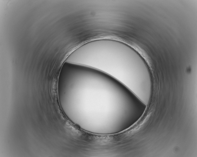 X0000091301001200708101044