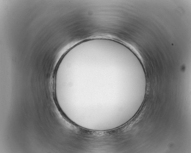 X0000091301003200708101044
