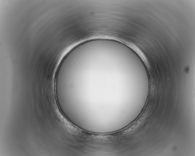 X0000091301004200708101044