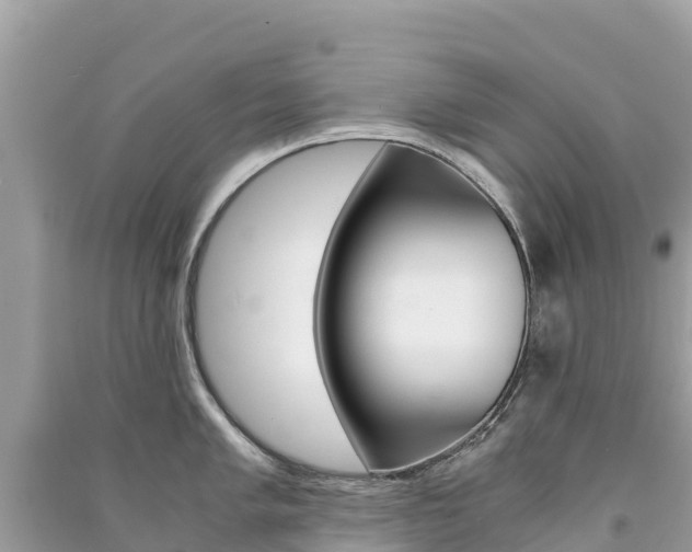 X0000091301005200708101044