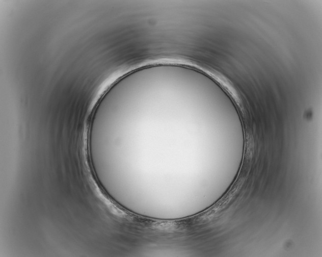 X0000091301006200708101044
