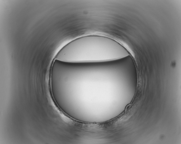 X0000091301007200708101044