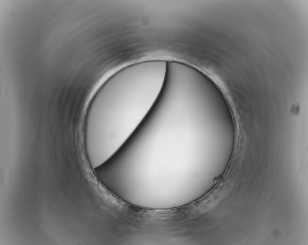 X0000091301008200708101044