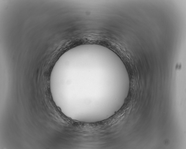 X0000091301009200708101043