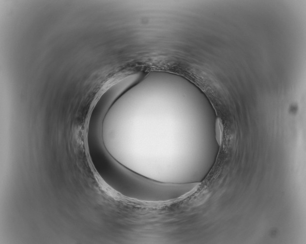 X0000091301010200708101043