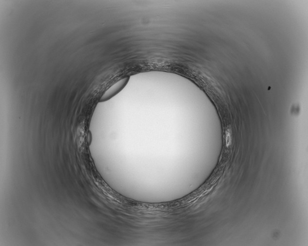 X0000091301011200708101043