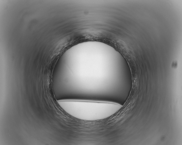 X0000091301012200708101043