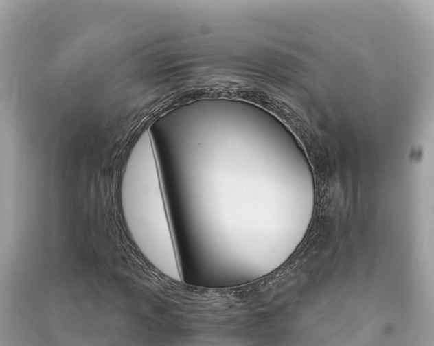 X0000091301013200708101043