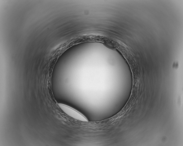 X0000091301014200708101043