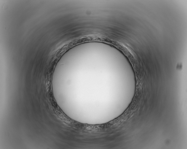 X0000091301015200708101043