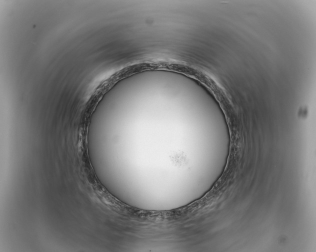 X0000091301016200708101043