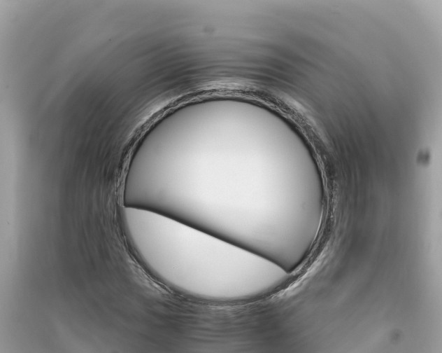 X0000091301017200708101043