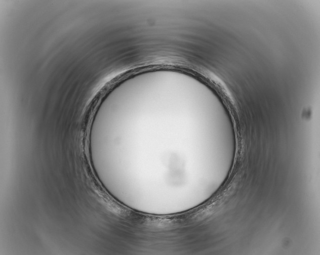 X0000091301019200708101043