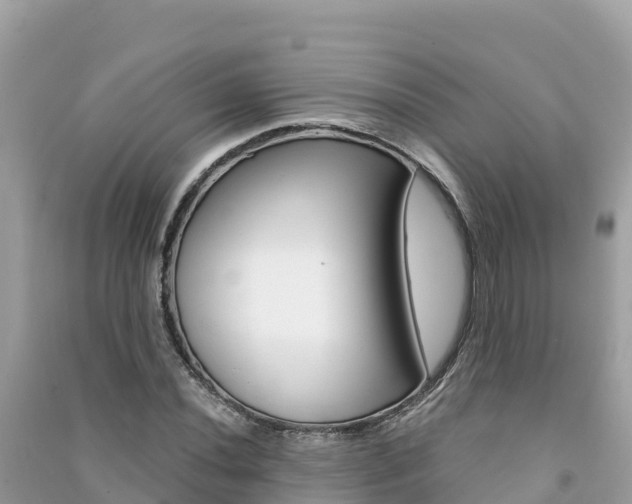 X0000091301020200708101043