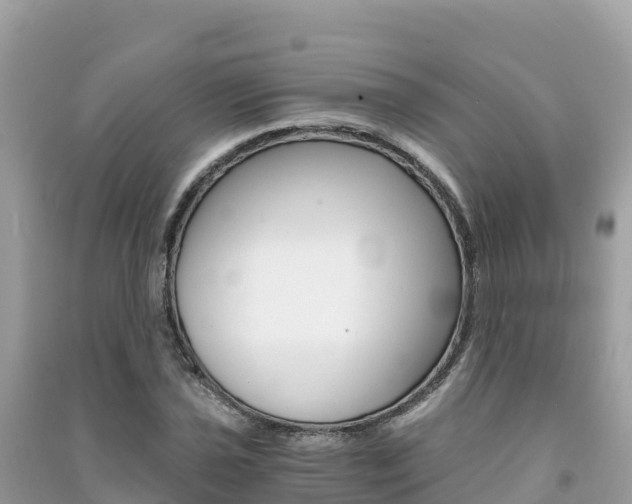 X0000091301021200708101043