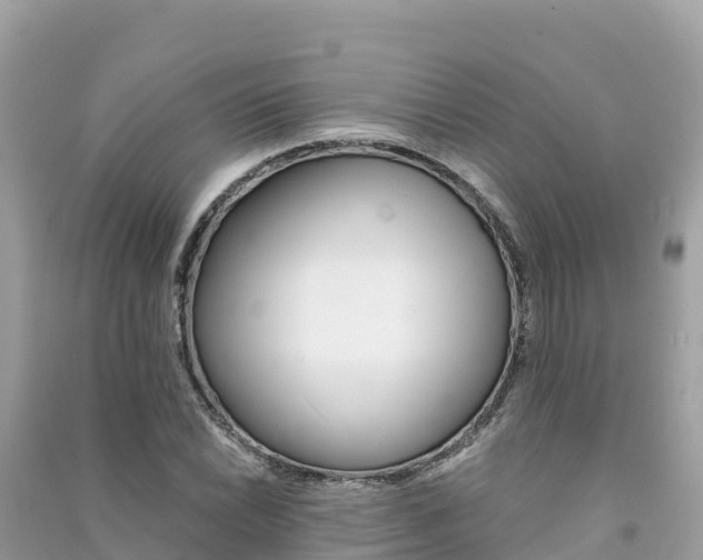 X0000091301022200708101043