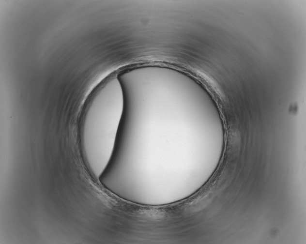 X0000091301023200708101043