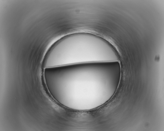 X0000091301024200708101043