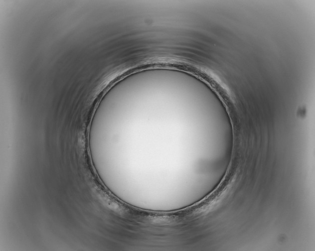 X0000091301025200708101043