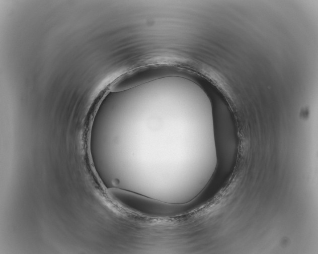 X0000091301026200708101043