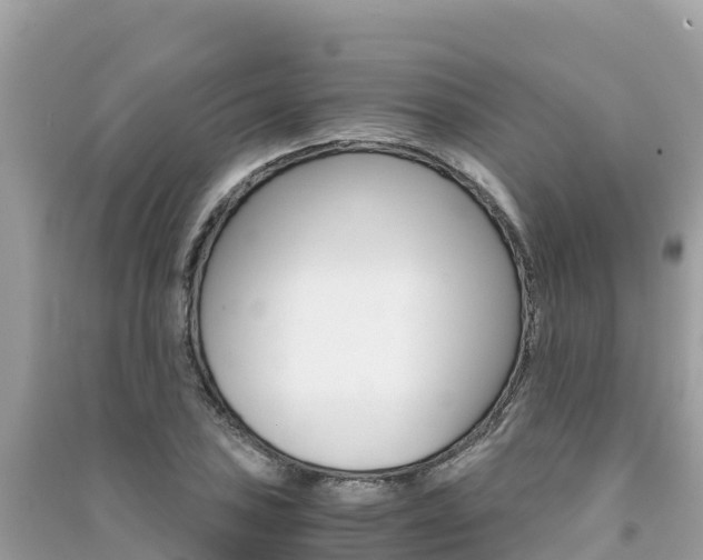 X0000091301027200708101043