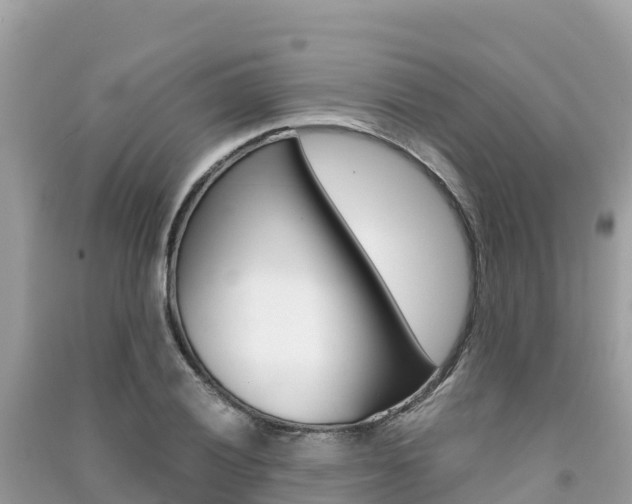 X0000091301028200708101043