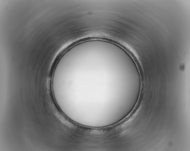 X0000091301029200708101043