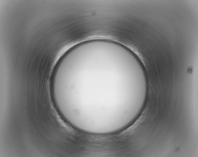 X0000091301030200708101043