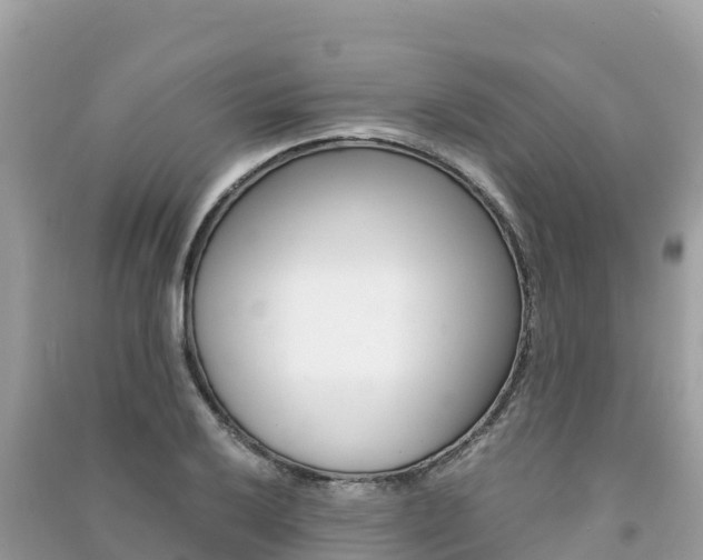X0000091301032200708101043