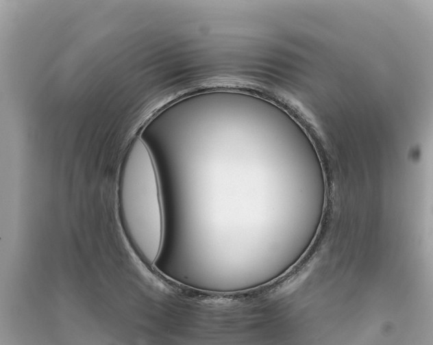 X0000091301033200708101043