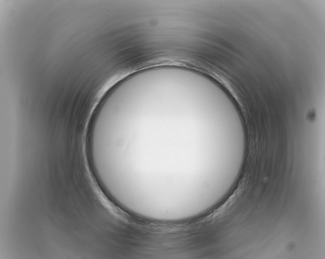 X0000091301034200708101043
