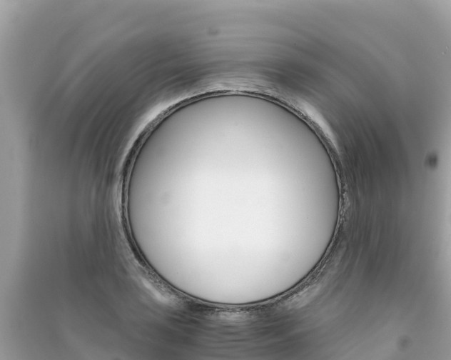 X0000091301035200708101043