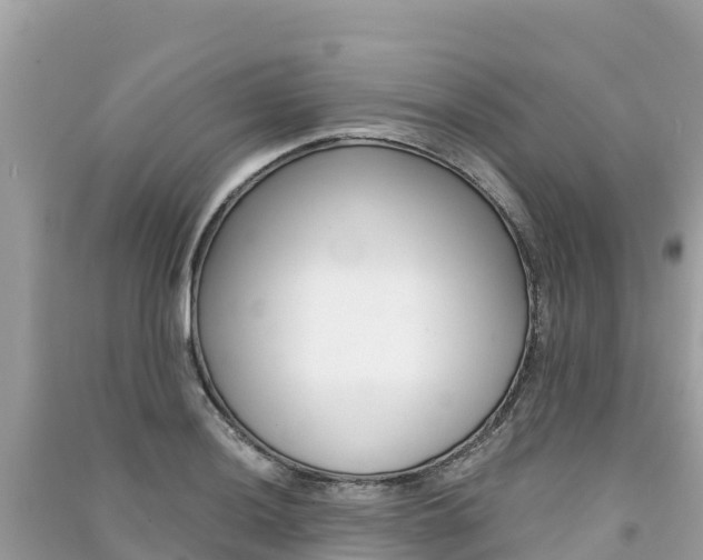 X0000091301036200708101043