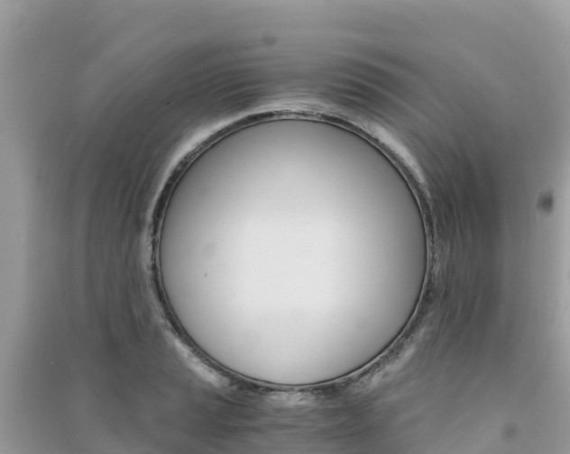 X0000091301037200708101043