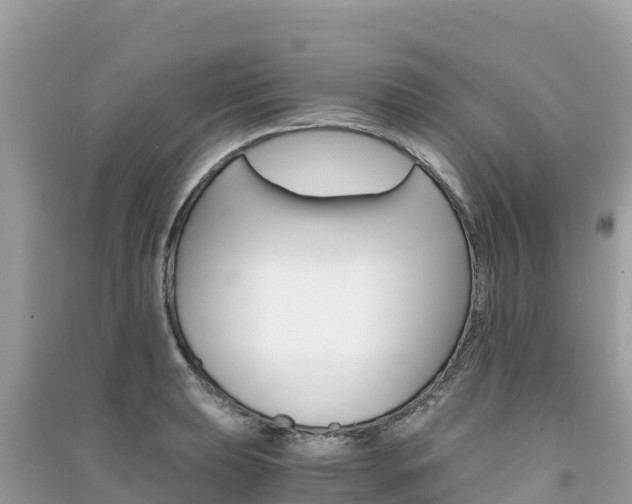 X0000091301039200708101043