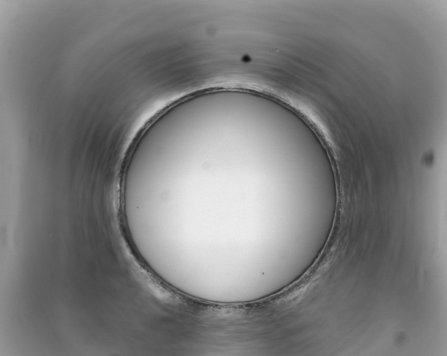 X0000091301040200708101043