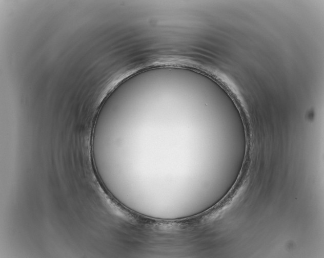 X0000091301041200708101043