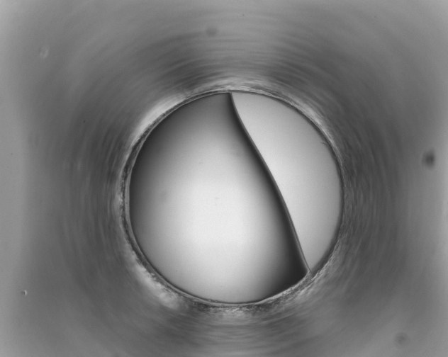 X0000091301042200708101043