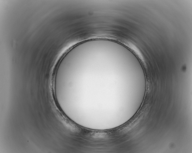 X0000091301043200708101043
