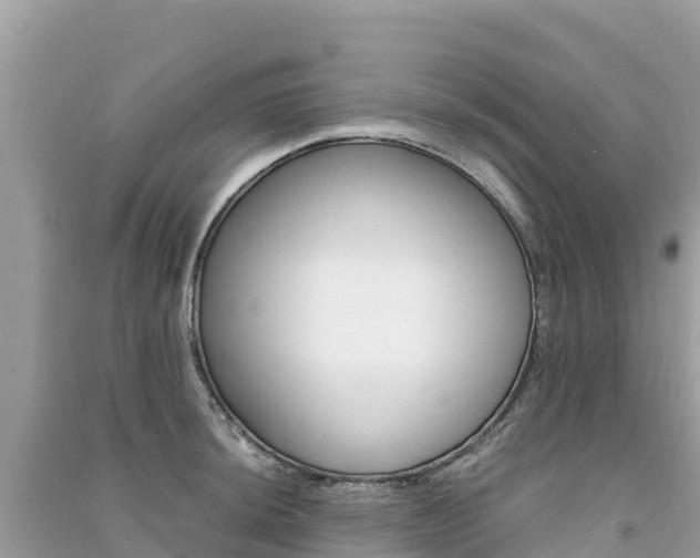 X0000091301044200708101043