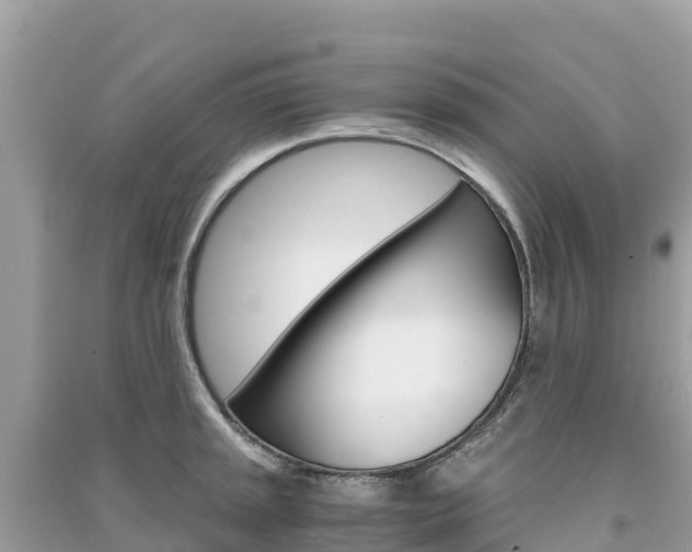 X0000091301045200708101043