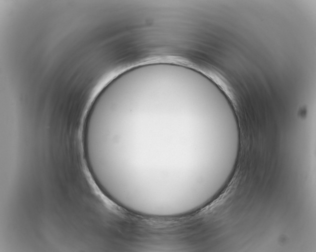 X0000091301046200708101043