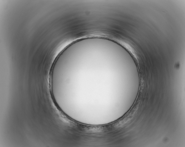 X0000091301047200708101043