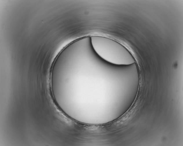 X0000091301048200708101043