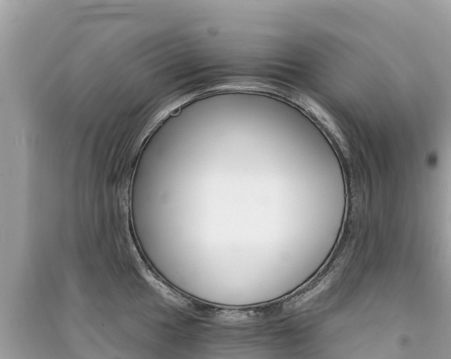 X0000091301049200708101043