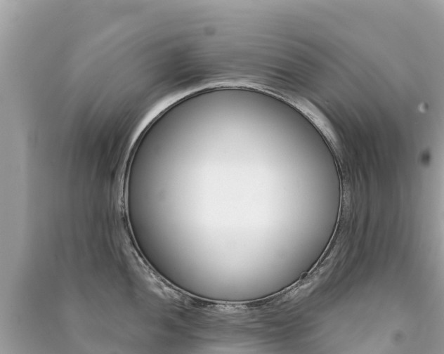 X0000091301052200708101044