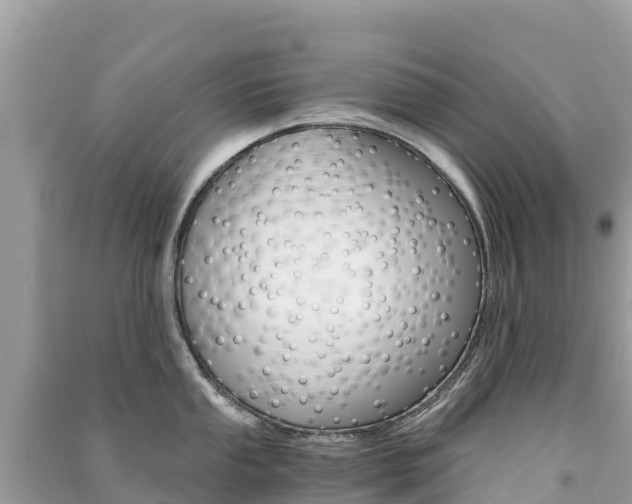 X0000091301053200708101044